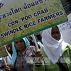 Nông dân Thái biểu tình phản đối chính sách trợ giá lúa gạo gây nợ đọng (Nguồn: AFP/TTXVN)