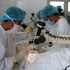 Các bác sỹ Bệnh viện Mắt Bình Định đang phẫu thuật mắt cho các đối tượng chính sách và người nghèo. (Ảnh: Ly Kha/TTXVN).