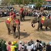 Các chú voi tham gia cuộc thi đá bóng trong lễ hội. (Ảnh: Thanh Hà/TTXVN)