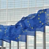 10 năm Séc gia nhập EU: Sự háo hức ngày càng phai nhạt