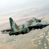 Quân ly khai Ukraine tuyên bố thành lập lực lượng không quân