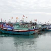 Quảng Nam thành lập thêm nghiệp đoàn nghề cá xã Tam Giang