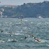 Gần 2.000 vận động viên dự giải bơi xuyên lục địa ở eo biển Bosphorus