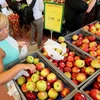 EU tìm cách ổn định thị trường nông sản đối phó lệnh cấm của Nga