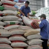Cung cấp gần 800 tấn gạo cứu đói cho tỉnh Ninh Thuận