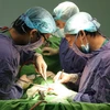 Hỗ trợ tới 300 triệu đồng cho bác sỹ về làm việc tại Đắk Nông