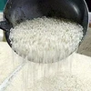 Hàn Quốc có thể đánh thuế trên 500% đối với gạo nhập khẩu