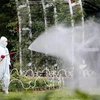 Nhật Bản: Thêm một công viên nghi có mầm bệnh sốt xuất huyết