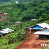 89 tỷ đồng hỗ trợ tỉnh Đắk Nông ổn định dân di cư tự do