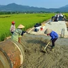 Ninh Thuận xây nông thôn mới theo mô hình "Saemaul" Hàn Quốc