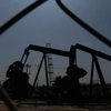 IMF cảnh báo nguy cơ với các nước vùng Vịnh nếu giá dầu xuống thấp