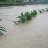 Quảng Ngãi: Một cô giáo bị thiệt mạng vì mưa lũ cuốn trôi