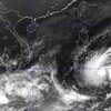 Các địa phương chủ động đối phó với diễn biến của bão Jangmi 