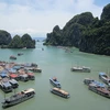  Vịnh Hạ Long: Biến kinh doanh thủy sản thành một sản phẩm du lịch