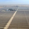 UAE xây dựng nhà máy quang điện 500 MW với giá thành siêu rẻ 