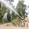 Cà Mau tạm đóng cửa rừng tràm U Minh Hạ đề phòng cháy rừng