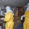 Bỉ chi 1,5 triệu euro hỗ trợ Guinea phòng chống dịch bệnh Ebola