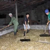 Đắk Lắk xử lý hàng chục cơ sở sản xuất, chế biến càphê bột "bẩn"