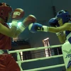 Khai mạc Giải Boxing Đồng bằng sông Cửu Long mở rộng lần thứ 1