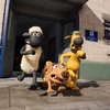 "Shaun the Sheep'' - phim hoạt hình dễ thương cho cả gia đình