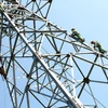 Đảm bảo cung cấp điện tại các huyện đảo khu vực phía Nam 