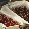 Australia mở rộng thị trường xuất khẩu rau quả tại Nhật Bản