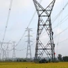 Điện lực Việt Nam tiếp tục cải thiện chỉ số tiếp cận điện năng