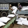 An Giang: Đã thu mua hơn 130.000 tấn gạo tạm trữ vụ Đông Xuân