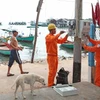 Khánh thành tuyến cáp ngầm vượt biển đưa điện ra xã đảo Thạnh An