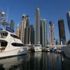 UAE là quốc gia hạnh phúc nhất trong khu vực vùng Vịnh