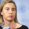 Đại diện đối ngoại EU tới Israel thảo luận về tình hình Gaza