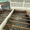 Hệ thống giàn phun mưa tại nhà máy nước Công ty Cấp thoát nước số 1 Vĩnh Phúc. (Ảnh: Anh Tuấn/TTXVN)
