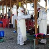 Nhân viên y tế Sierra Leone chăm sóc bệnh nhân nhiễm Ebola tại trung tâm Kenama. (Nguồn: AFP/TTXVN)