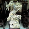 Một mẫu cây bonsai đá. (Nguồn: Báo Ảnh Việt Nam)