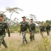 Các chiến sỹ trinh sát Đồn Biên phòng Ea H'leo (745), Đắk Lắk tuần tra khu vực vành đai biên giới. (Ảnh: Dương Giang/TTXVN)