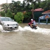 Mưa lớn gây ngập lụt ở B ắc Giang. (Ảnh: Văn Vĩnh/TTXVN)