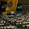 Một phiên họp của Đại hội đồng Liên hợp quốc. (Nguồn: AFP/TTXVN)
