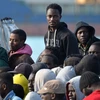 EU kêu gọi tích cực giải quyết vấn đề người di cư vào châu Âu