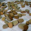 Công cụ lao động bằng đá của người tiền sử được phát hiện ở Hà Giang. Ảnh minh họa. (Nguồn: TTXVN)