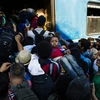 Người di cư chen lấn lên tàu hỏa tại nhà ga Gevgelija ở biên giới Macedonia-Hy Lạp ngày 9/8. (Nguồn: AFP/TTXVN)
