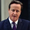 Thủ tướng David Cameron. (Nguồn: AFP/TTXVN)