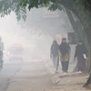 Khói mù do cháy rừng bao phủ Palembang, tỉnh Nam Sumatra, Indonesia ngày 8/10. (Nguồn: AFP/TTXVN)