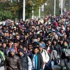  Khoảng 2.000 người di cư tới thị trấn Kljuc Brdovecki, biên giới Croatia-Slovenia bằng tàu hỏa ngày 24/10. (Nguồn: AFP/TTXVN)