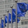 Các nước châu Âu phá mạng lưới gian lận thuế VAT xuyên quốc gia