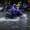 Cảnh ngập lụt tại phố Giang Văn Minh, Hà Nội. (Ảnh: Huy Hùng/TTXVN), 