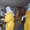 Nhân viên y tế Guinea làm việc tại trung tâm chữa trị Ebola Donka ở thủ đô Conakry ngày 8/12. (Nguồn: AFP/TTXVN)