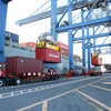 Bốc dỡ hàng hóa tại cảng Cát Lái đầu năm 2016. (Ảnh: Hoàng Hải/Vietnam+)