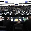 Một cuộc họp của Nghị viện châu Âu. (Nguồn: AFP/TTXVN)