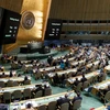 Toàn cảnh một phiên họp của Đại hội đồng Liên hợp quốc. (Nguồn: AFP/TTXVN)