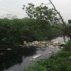 Sông Đoan Túc bị ô nhiễm nặng. (Ảnh: Xuân Tiến/TTXVN)